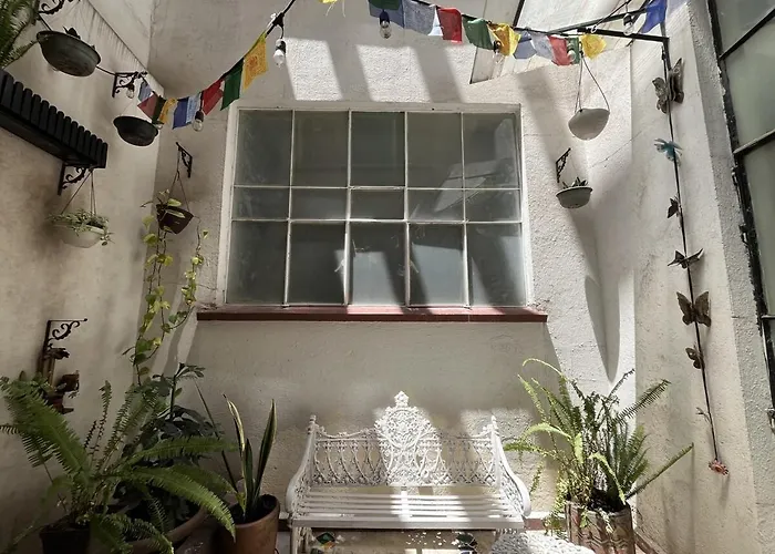 Apartment Comfortable And Cozy In Roma Condesa *