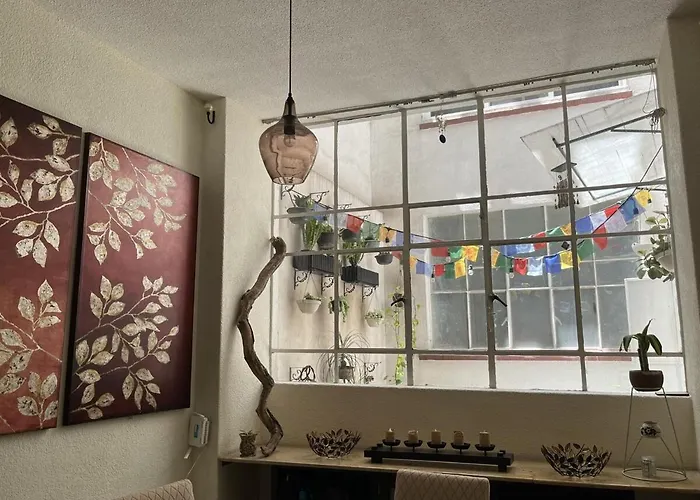 Comfortable And Cozy In Roma Condesa Mexico City