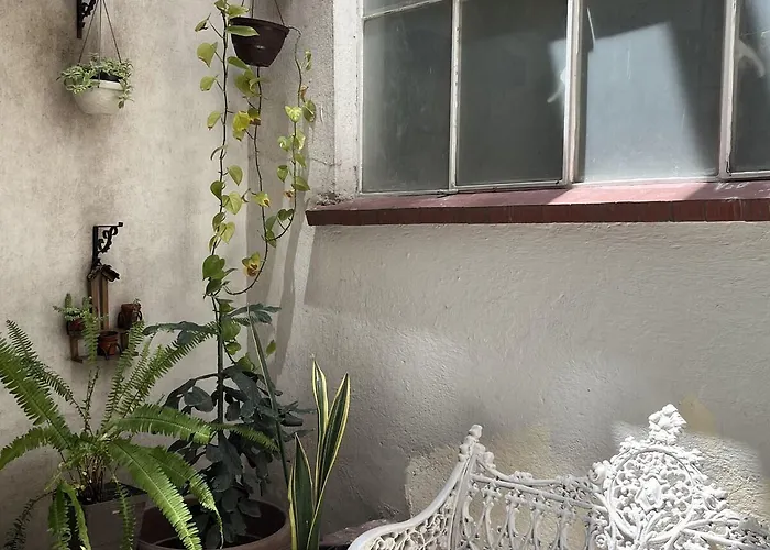 Comfortable And Cozy In Roma Condesa * Mexico City